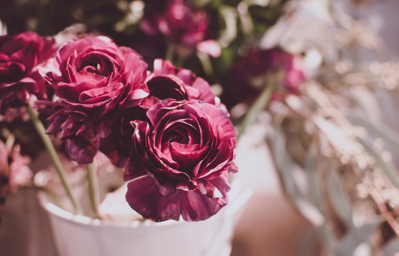 1400 x 900 rich pink flowers